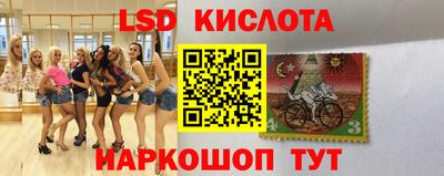 spice Тверь