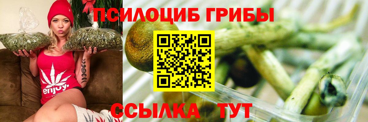 Галлюциногенные грибы GOLDEN TEACHER  закладка  Галлюциногенные грибы ЛСД  Новоуральск  Вход с VPN 